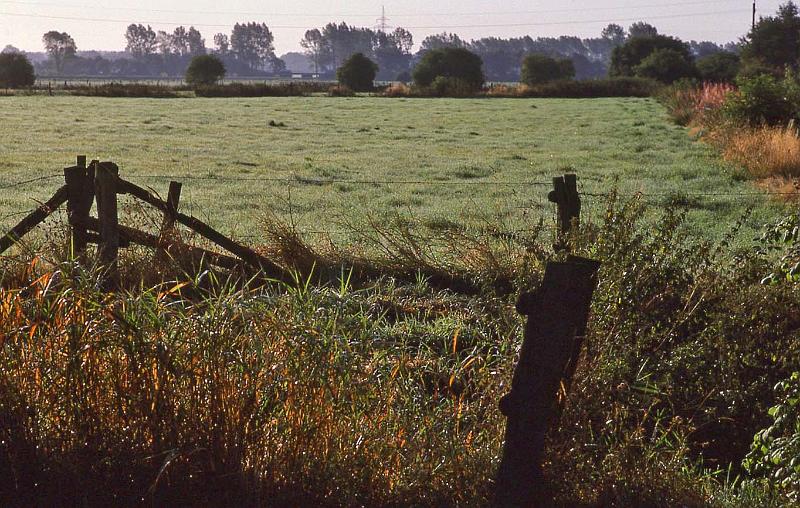 WT 1800 246-04 Germany.jpg